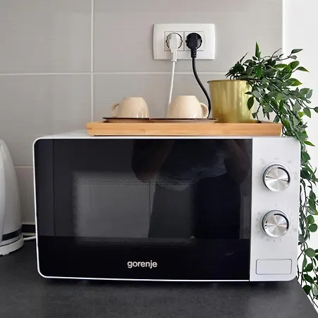 Romana With A Spacious Terrace 公寓