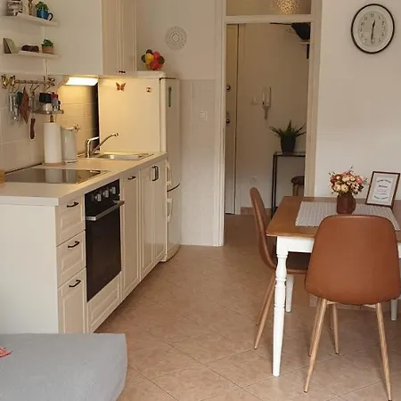 公寓 Romana With A Spacious Terrace