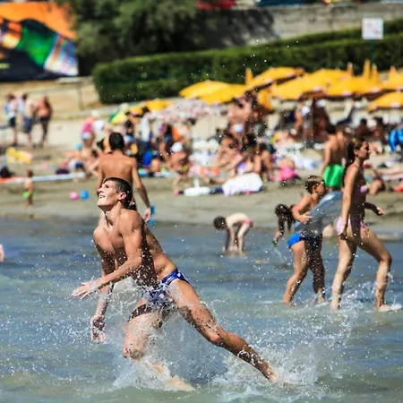 Romana With A Spacious Terrace 公寓 *