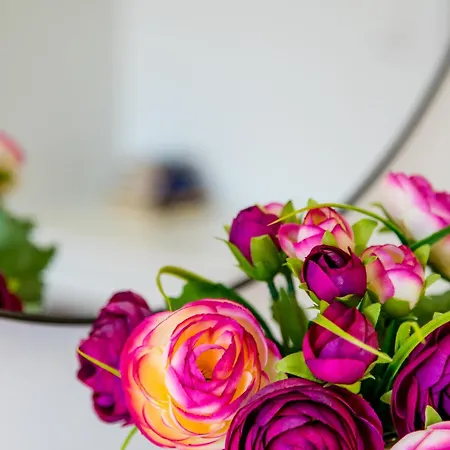 公寓 Romana With A Spacious Terrace