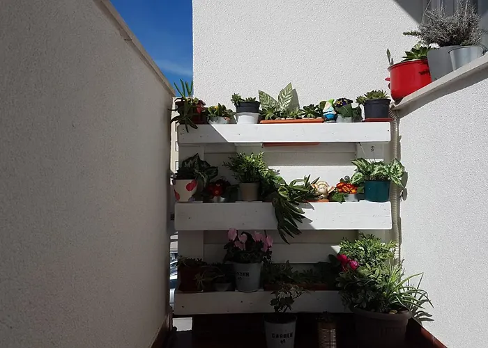 Romana With A Spacious Terrace Apartamento *