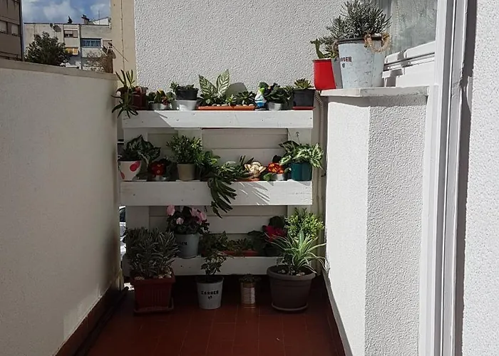Romana With A Spacious Terrace