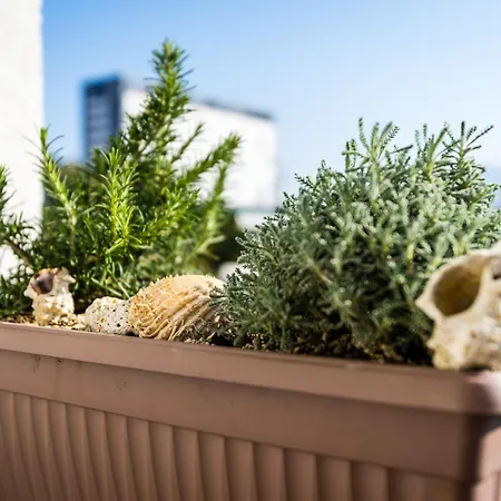 Romana With A Spacious Terrace Apartamento