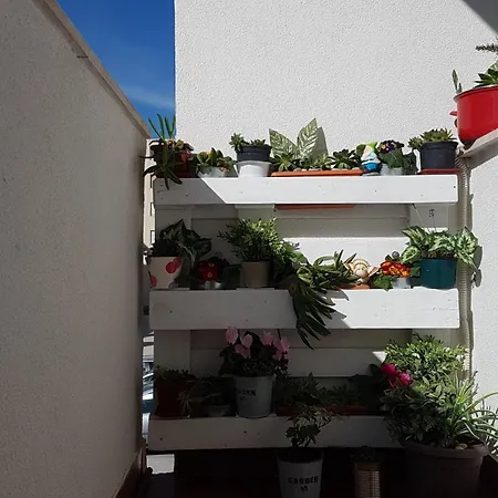 Romana With A Spacious Terrace Apartment *