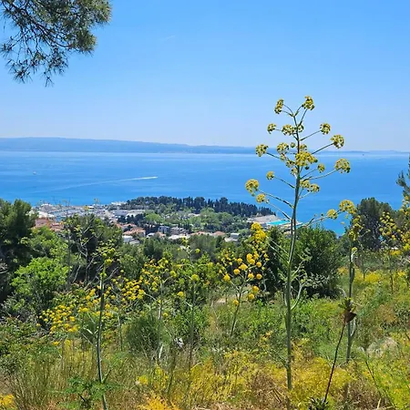 Apartman Romana With A Spacious Terrace