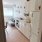 Romana With A Spacious Terrace *