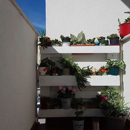 Romana With A Spacious Terrace アパート *